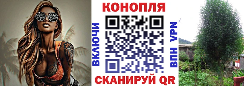 blacksprut сайт площадка какой сайт Шишки марихуана MAZAR Александровск